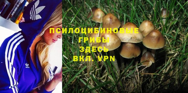 2c-b Гусиноозёрск