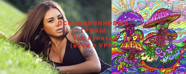 ПСИЛОЦИБИНОВЫЕ ГРИБЫ Алексеевка