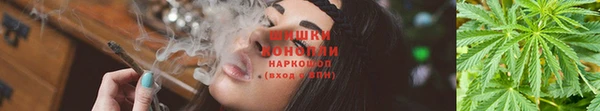 ПСИЛОЦИБИНОВЫЕ ГРИБЫ Алексеевка