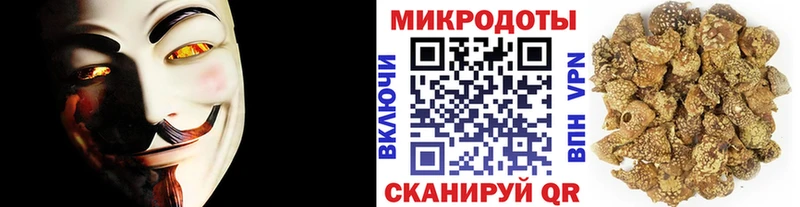 Галлюциногенные грибы Psilocybine cubensis  Пыталово 